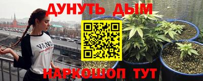 СК Канаш