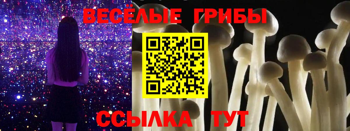 Арсеньев  даркнет сайт  Вход с VPN  Псилоцибиновые грибы GOLDEN TEACHER 